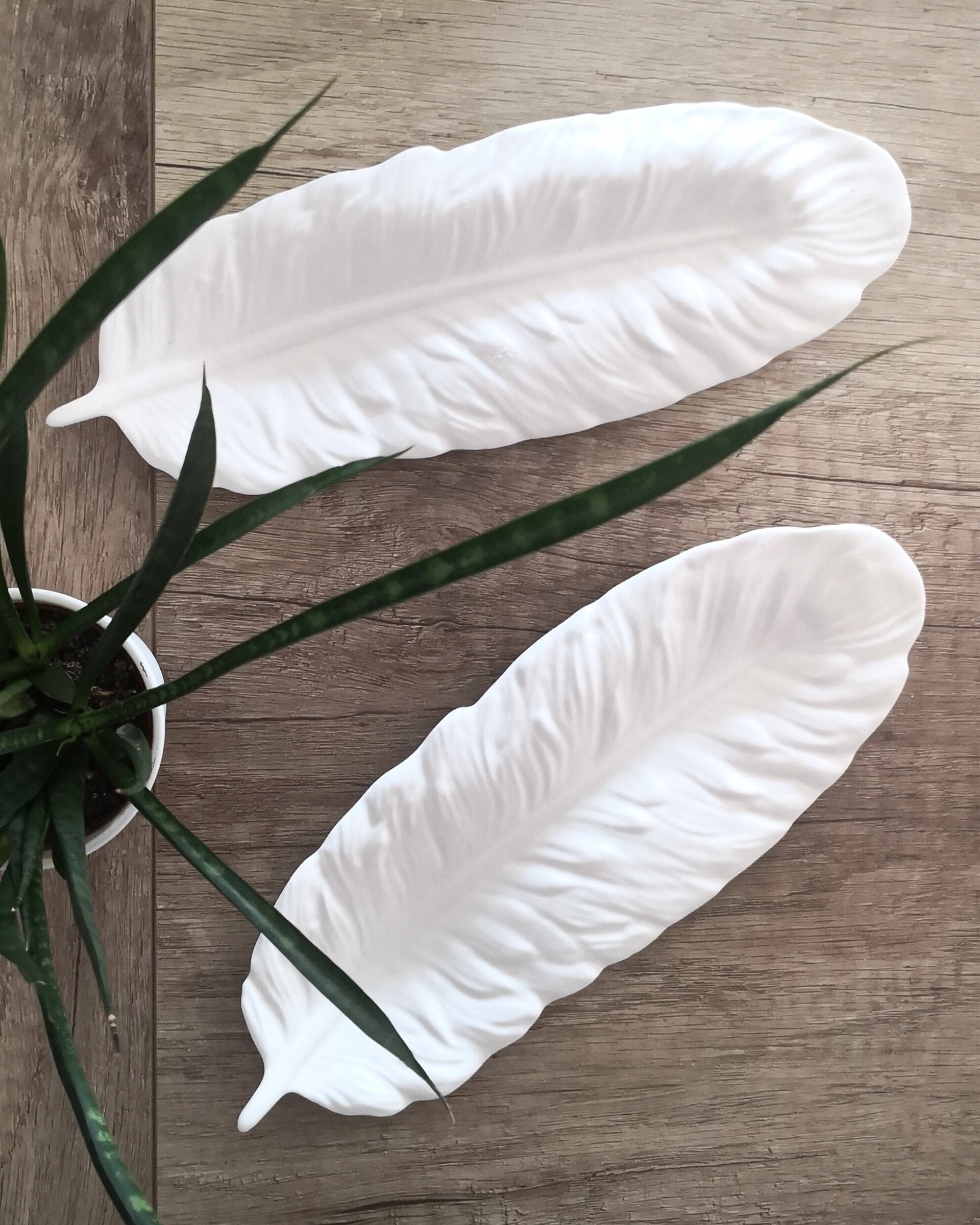 Pluma - 2