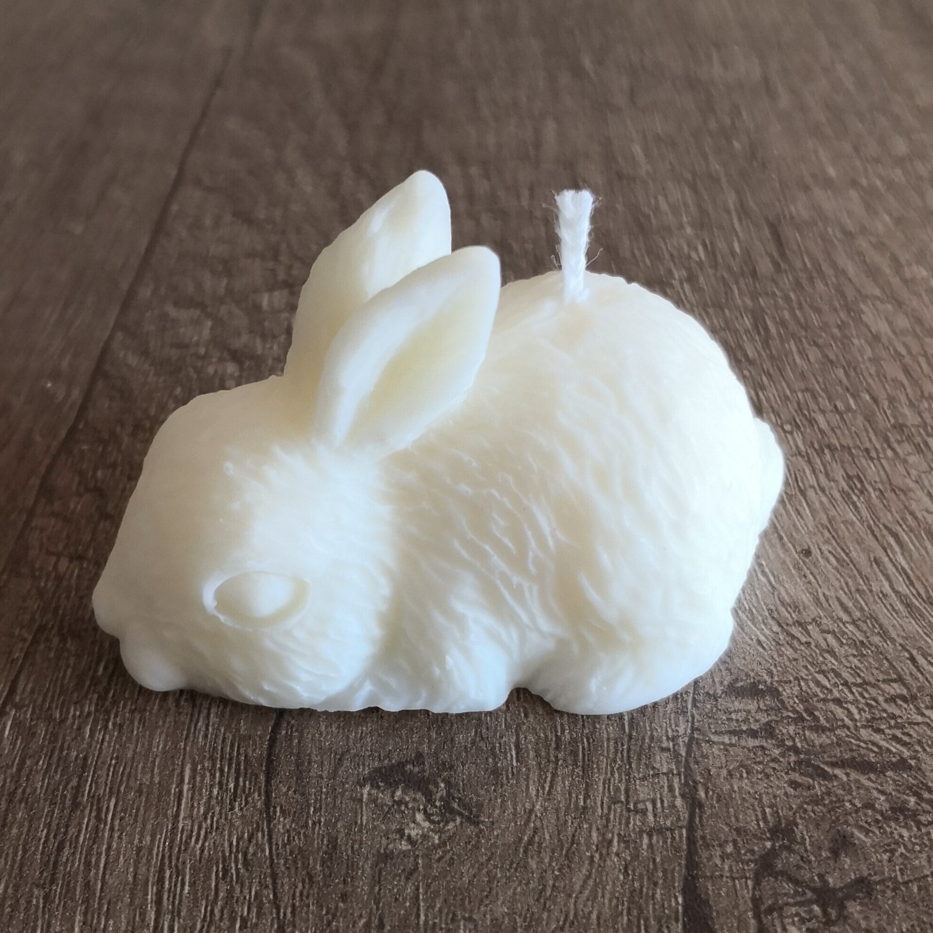 Vela Little Bunny - 2