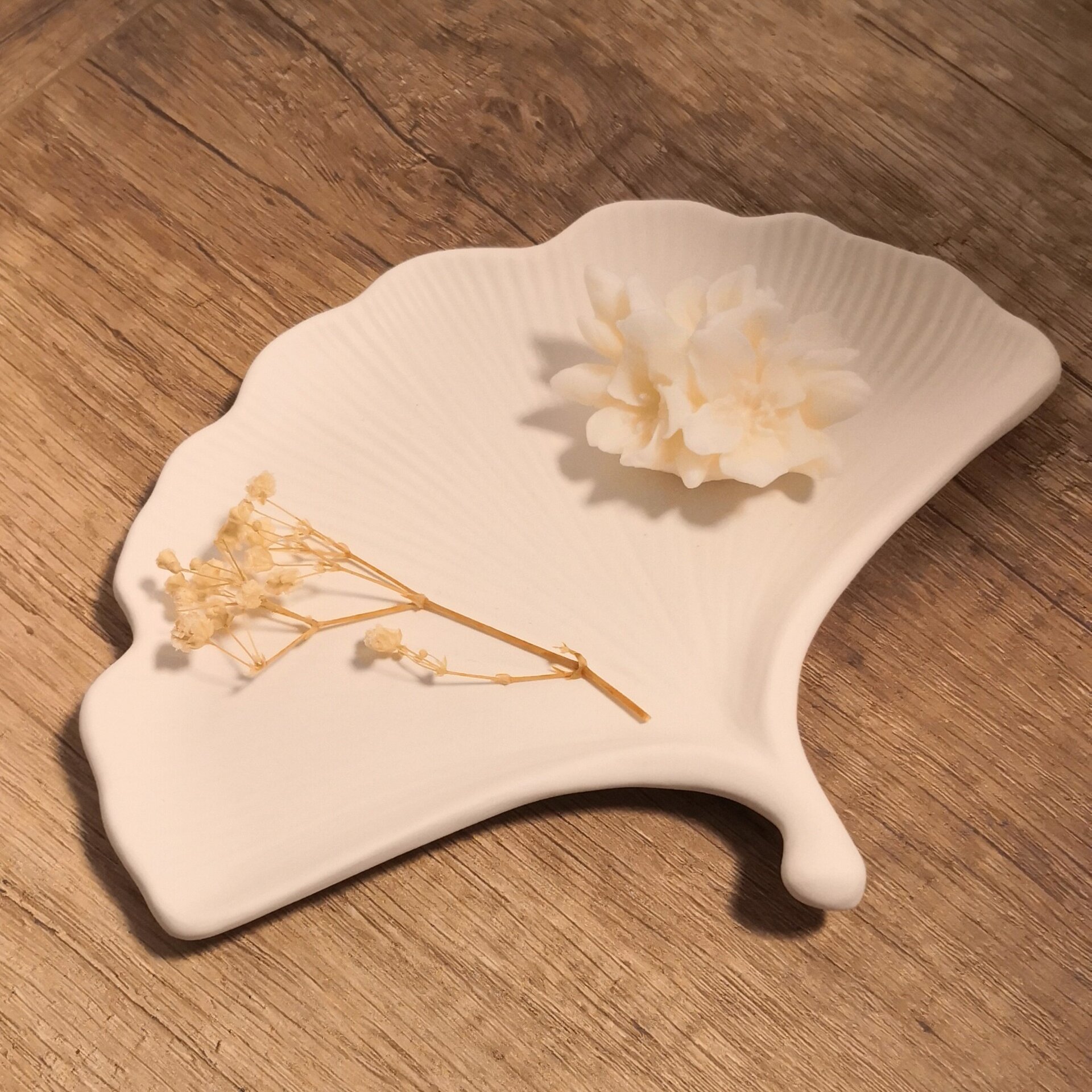 Ginkgo Biloba - 2