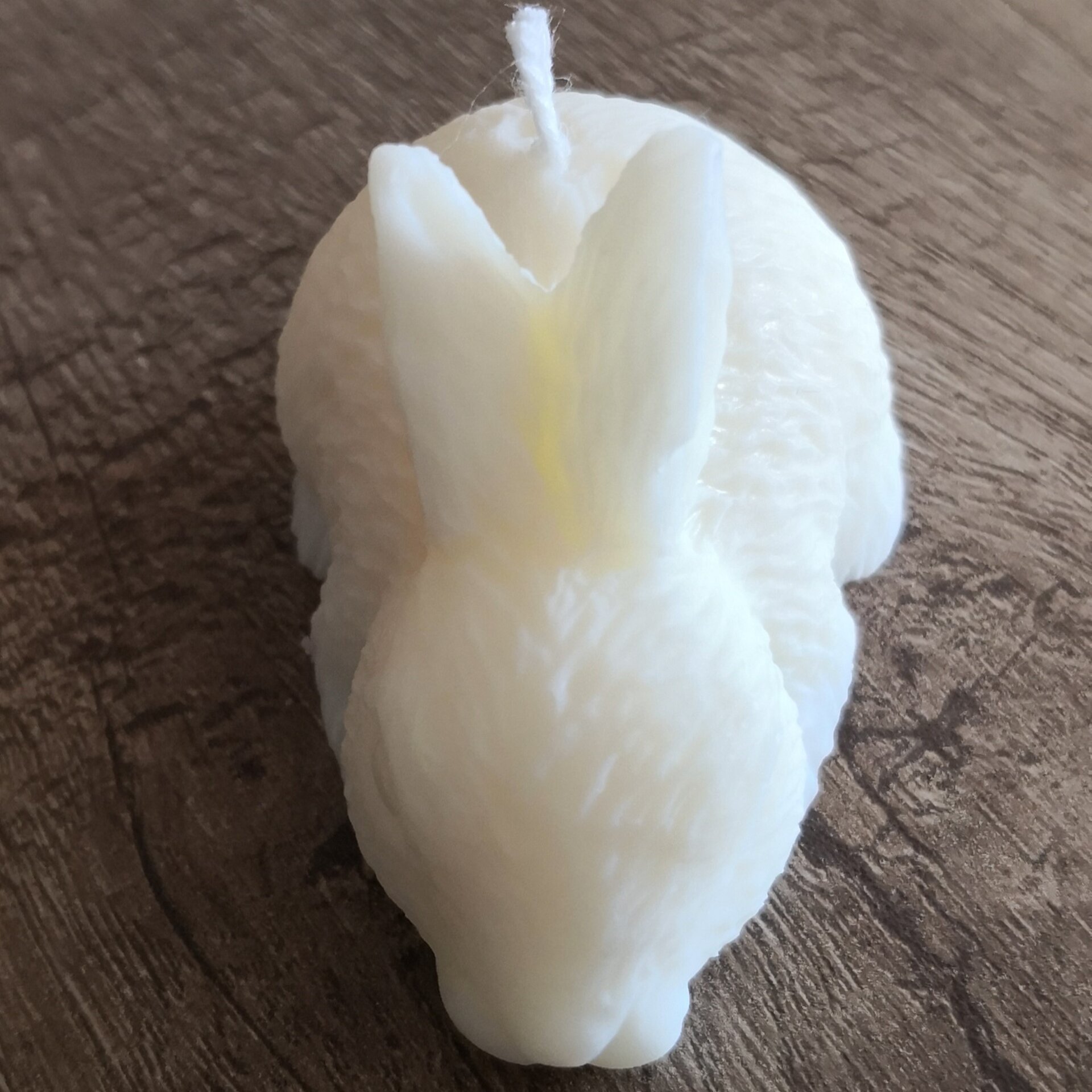 Vela Little Bunny - 3