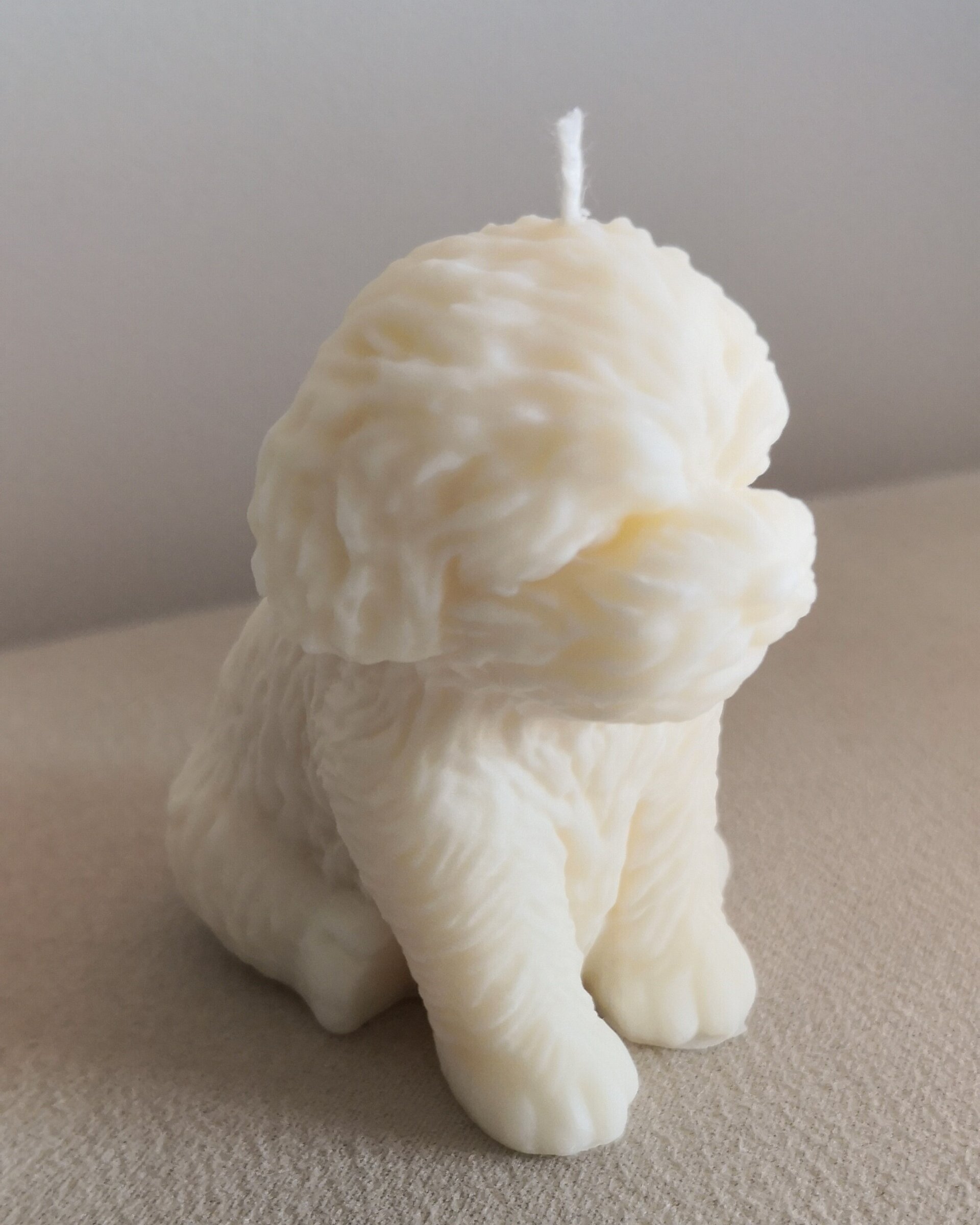 Vela Puppy - 2